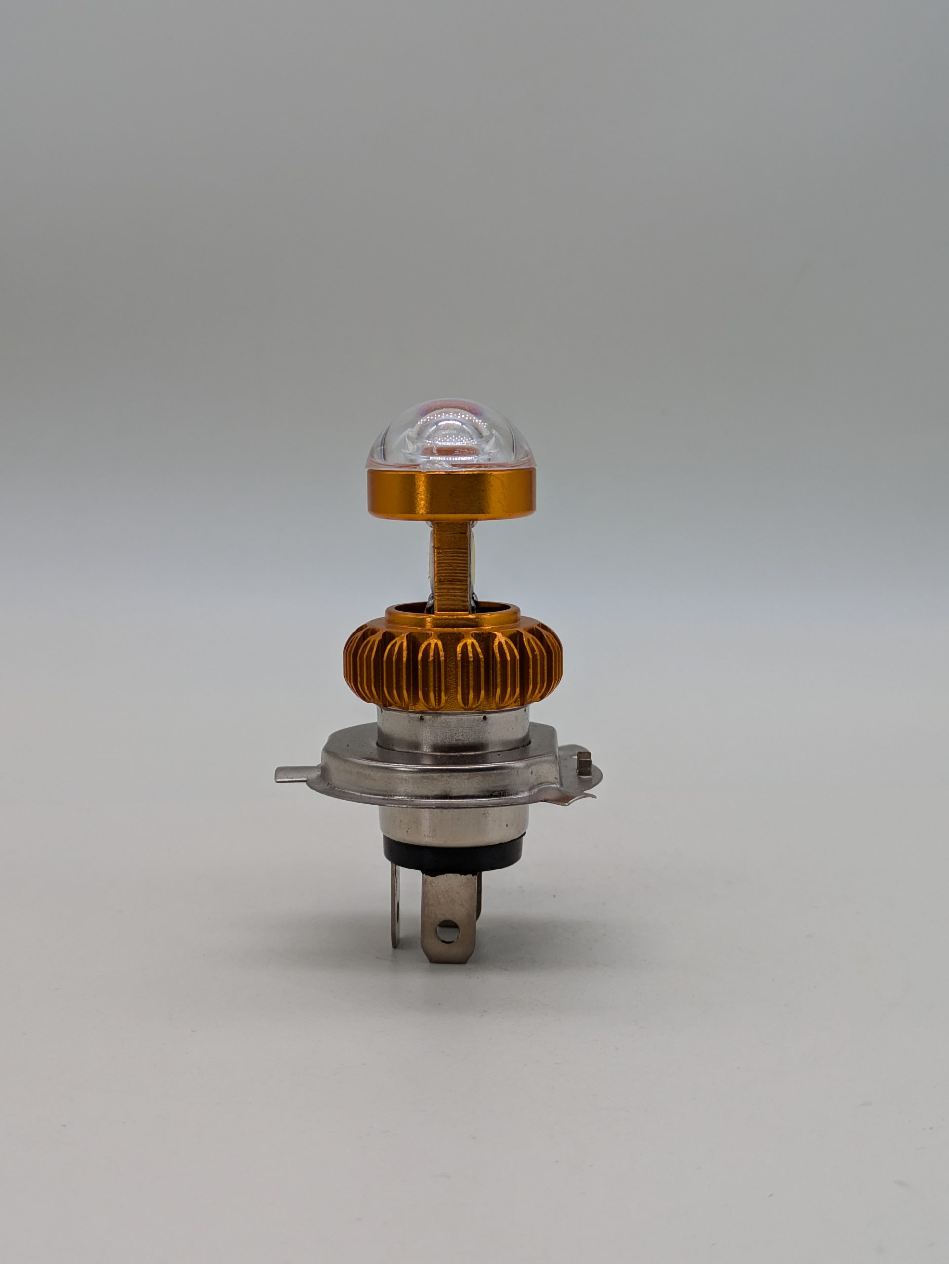 Double face of mushroom head - Image 4