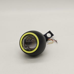 Fish glasses headlight